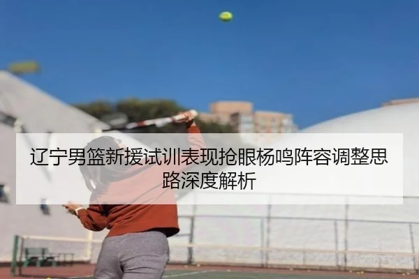 辽宁男篮新援试训表现抢眼杨鸣阵容调整思路深度解析（mksport）